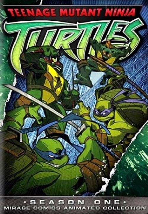 Watch Teenage Mutant Ninja Turtles Volume 1