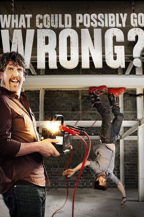What Could Possibly Go Wrong? Poster