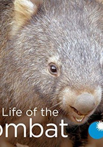  Secret Life of the Wombat Poster