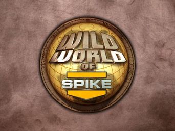  Wild World of Spike Poster