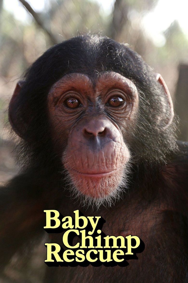 Baby Chimp Rescue Poster