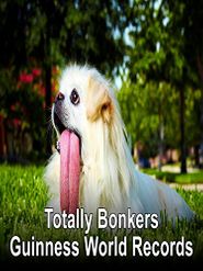  Totally Bonkers Guinness World Records Poster