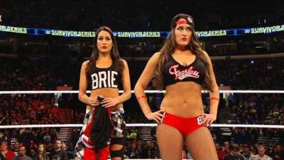 Season 2014, Episode 10 WWE Divas Championship Match AJ Lee vs. Nikki Bella