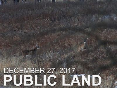 Season 01, Episode 31 December 27 - Public Land: A New Buck Nest