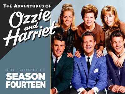 Season 14, Episode 25 Ozzie, the Babysitter