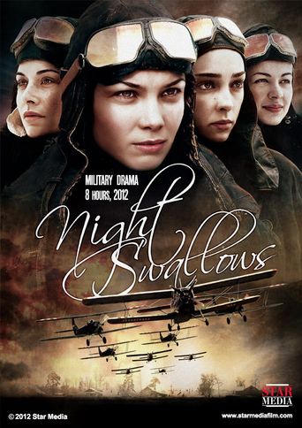  Night Swallows Poster