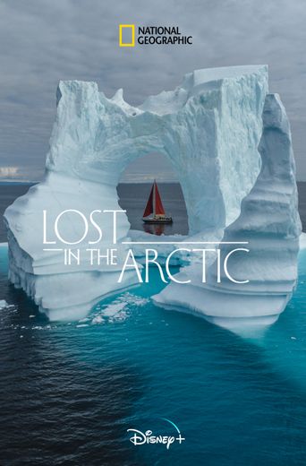  Lost in the Arctic Poster