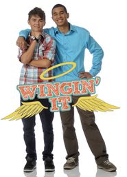  Wingin' It Poster