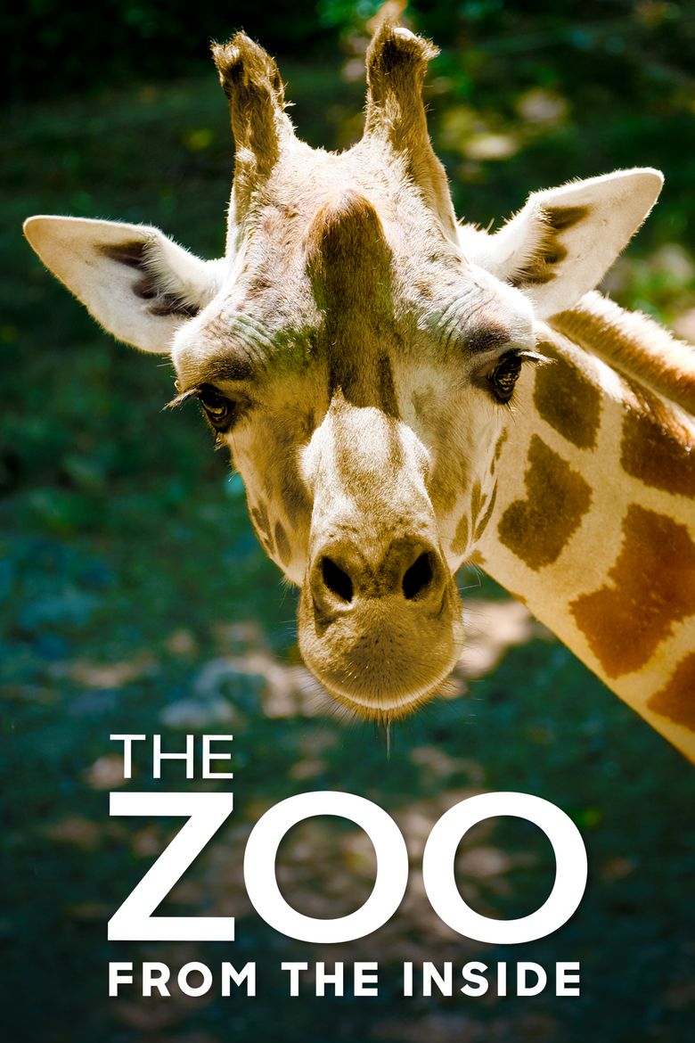 The Zoo: From the Inside