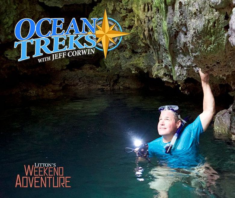 Ocean Treks with Jeff Corwin