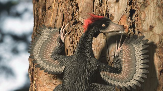 A New Prehistory Backdrop