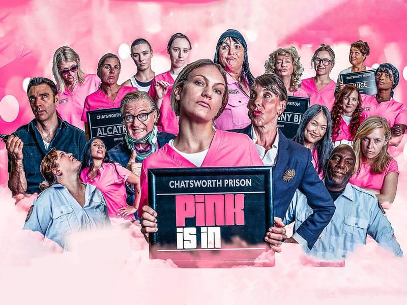 Pink Is In Where to Watch and Stream Online Reelgood