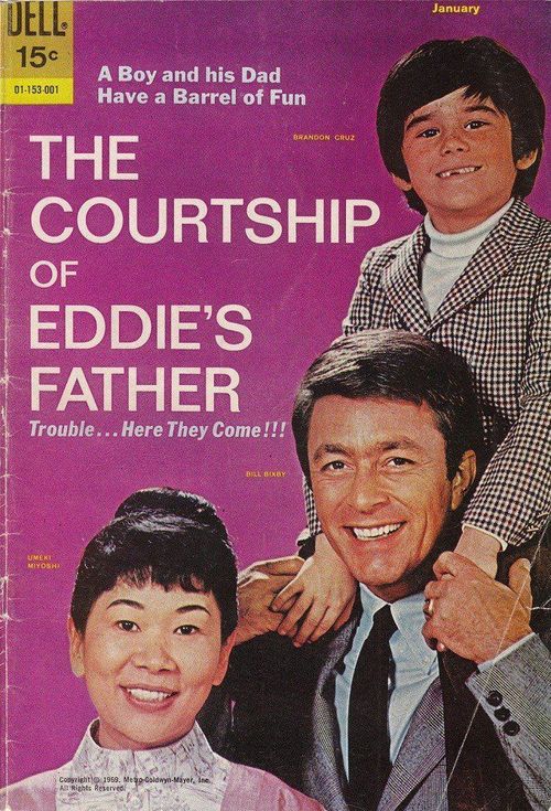 The Courtship of Eddie's Father Poster