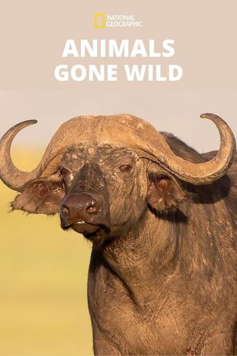  Animals Gone Wild Poster