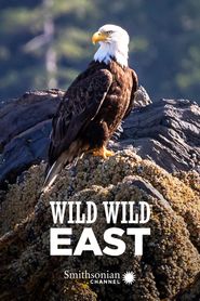  Wild Wild East Poster