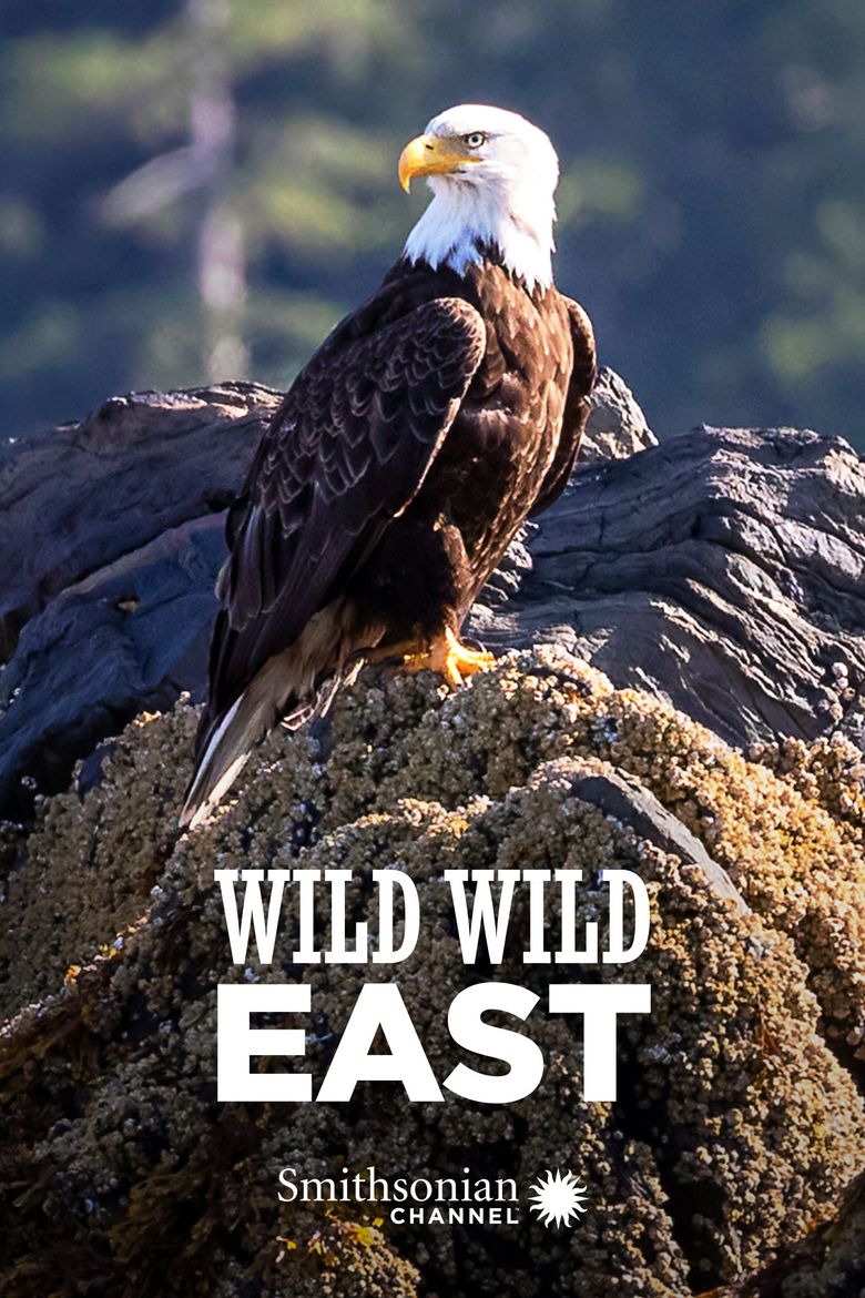 Wild Wild East