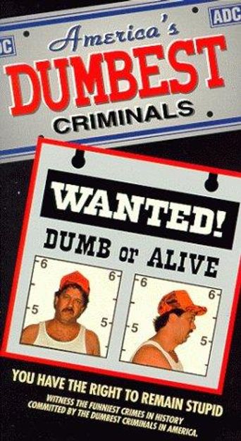  America's Dumbest Criminals Poster