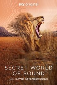 Secret World of Sound with David Attenborough Poster