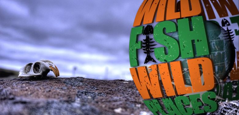 Wild Fish Wild Places