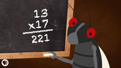 Season 02, Episode 49 Why Are Cicadas So Good At Math?