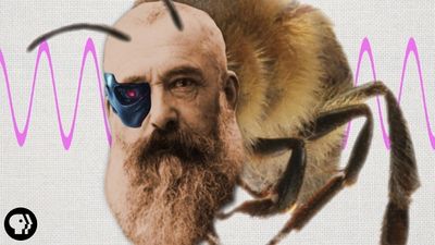 Season 01, Episode 50 Claude Monet Was Half Honeybee