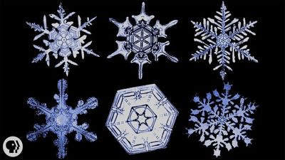 Season 01, Episode 49 The Science of Snowflakes