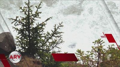 Season 2019, Episode 5240 Al Rojo Vivo 05-24