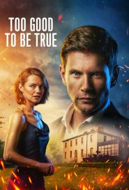  Too Good to Be True Poster