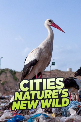 Cities: Nature's New Wild: Where to Watch and Stream Online | Reelgood