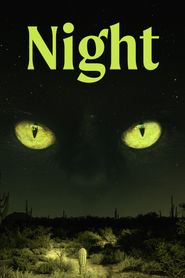  Night Poster