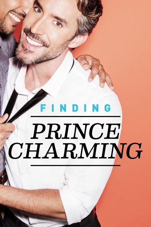 Finding Prince Charming Poster