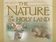  Nature of the Holy Land Poster