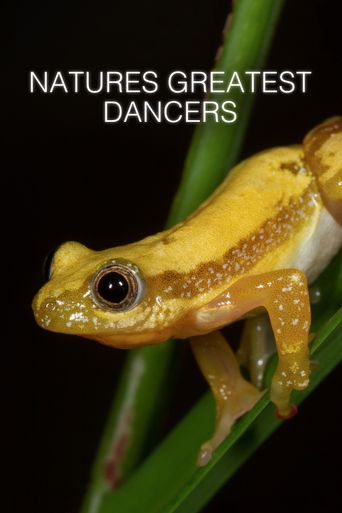  Nature's Greatest Dancers Poster