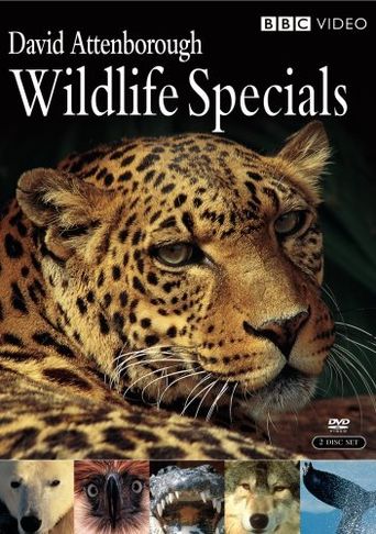  Wildlife Specials Poster