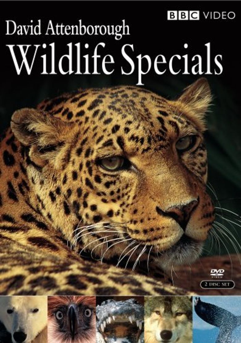 Wildlife Specials