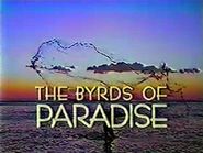 The Byrds of Paradise Poster