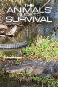  The Animals' Guide to Survival Poster