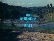  The Miracle of Bali Poster