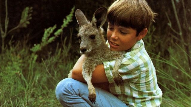 Skippy Backdrop