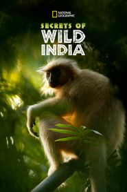  Secrets of Wild India Poster