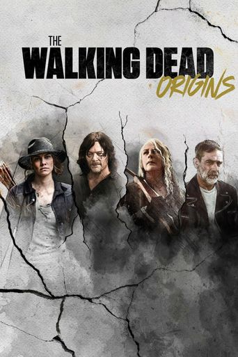  The Walking Dead: Origins Poster