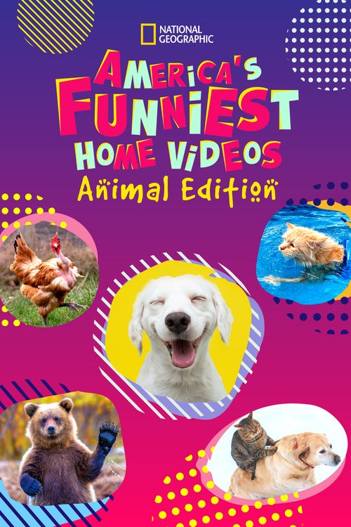 America's Funniest Videos: Animal Edition Poster