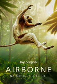  Airborne Poster