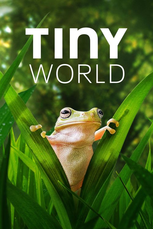 Tiny World Poster