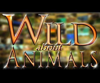  Wild About Animals Poster