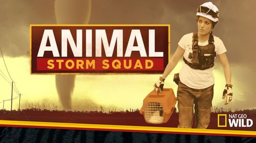 Animal Storm Squad Poster