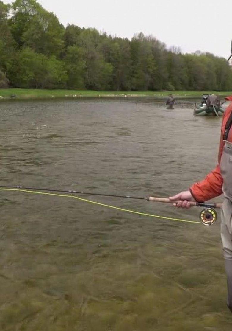 The New Fly Fisher