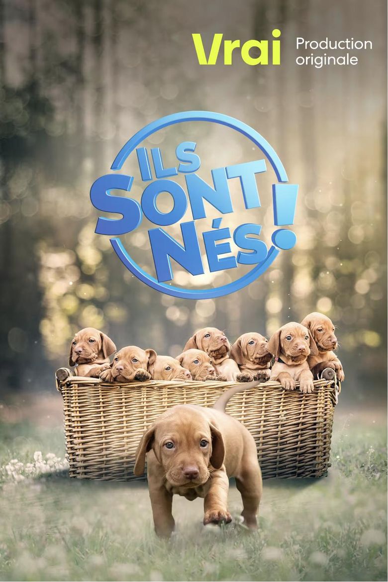 Ils Sont Nés