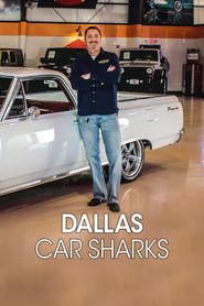  Dallas Car Sharks Poster