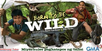  Born to Be Wild Poster